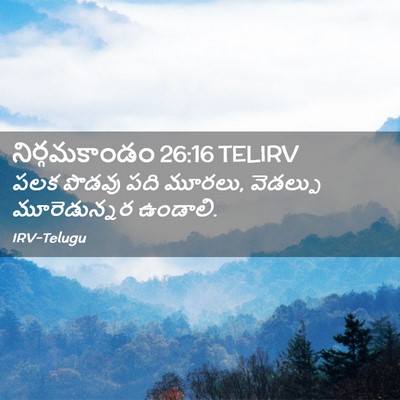 Picture 02 - నిర్గమకాండం 26:16 TELIRV - పలక పొడవు పది - Bible Verse Picture