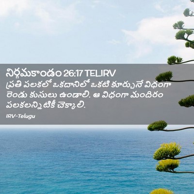 Picture 02 - నిర్గమకాండం 26:17 TELIRV - ప్రతి పలకలో - Bible Verse Picture