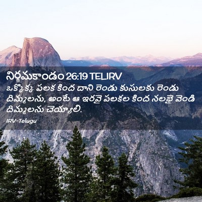 Picture 02 - నిర్గమకాండం 26:19 TELIRV - ఒక్కొక్క పలక కింద - Bible Verse Picture