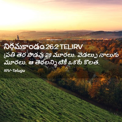Picture 02 - నిర్గమకాండం 26:2 TELIRV - ప్రతి తెర పొడవు 28 - Bible Verse Picture