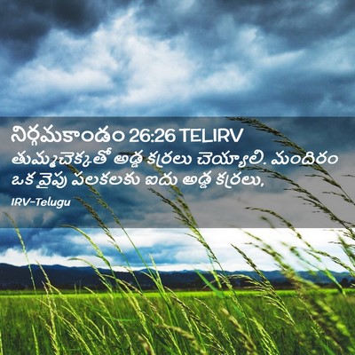 Picture 02 - నిర్గమకాండం 26:26 TELIRV - తుమ్మచెక్కతో అడ్డ - Bible Verse Picture