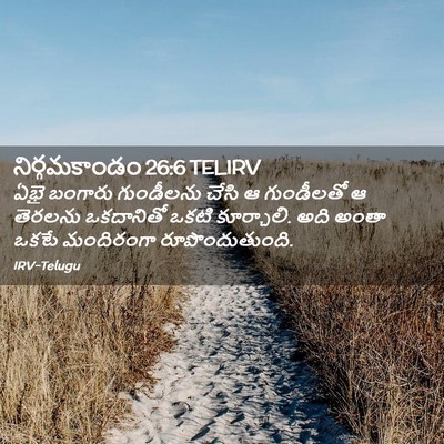Picture 02 - నిర్గమకాండం 26:6 TELIRV - ఏభై బంగారు - Bible Verse Picture