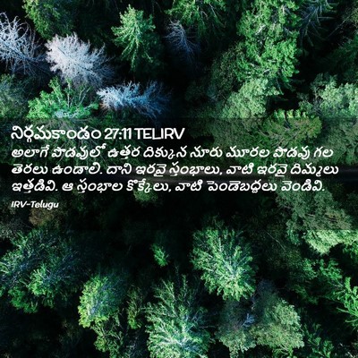 Picture 02 - నిర్గమకాండం 27:11 TELIRV - అలాగే పొడవులో - Bible Verse Picture