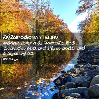 Picture 02 - నిర్గమకాండం 27:17 TELIRV - ఆవరణం చుట్టూ ఉన్న - Bible Verse Picture