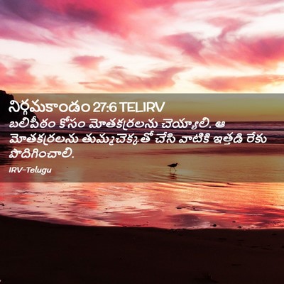 Picture 02 - నిర్గమకాండం 27:6 TELIRV - బలిపీఠం కోసం - Bible Verse Picture