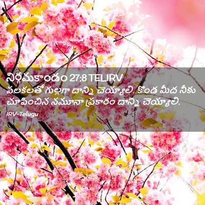 Picture 02 - నిర్గమకాండం 27:8 TELIRV - పలకలతో గుల్లగా - Bible Verse Picture
