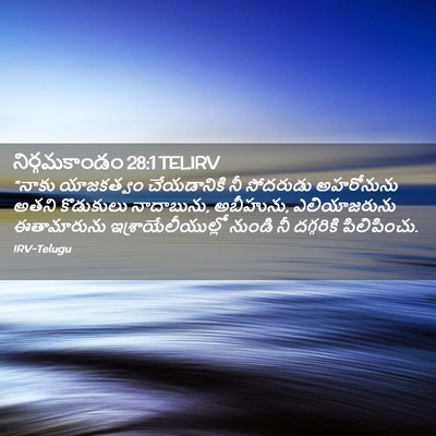 Picture 02 - నిర్గమకాండం 28:1 TELIRV - “నాకు యాజకత్వం - Bible Verse Picture