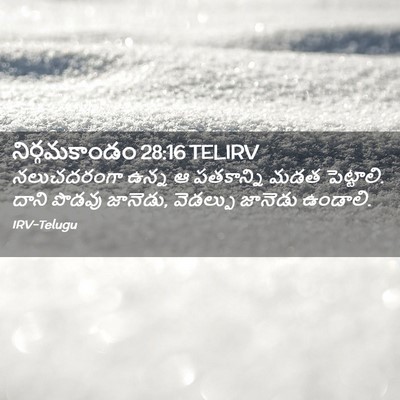 Picture 02 - నిర్గమకాండం 28:16 TELIRV - నలుచదరంగా ఉన్న ఆ - Bible Verse Picture