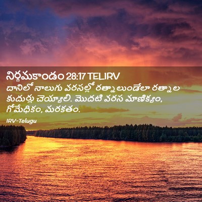 Picture 02 - నిర్గమకాండం 28:17 TELIRV - దానిలో నాలుగు - Bible Verse Picture