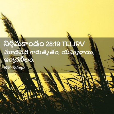 Picture 02 - నిర్గమకాండం 28:19 TELIRV - మూడవది గారుత్మతం, - Bible Verse Picture