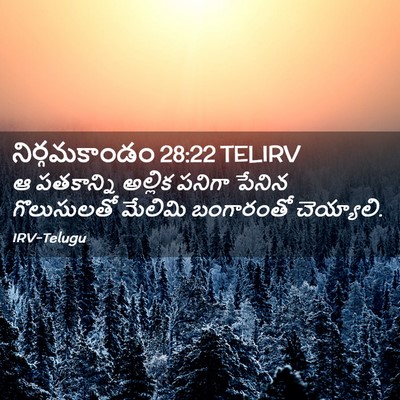 Picture 02 - నిర్గమకాండం 28:22 TELIRV - ఆ పతకాన్ని అల్లిక - Bible Verse Picture