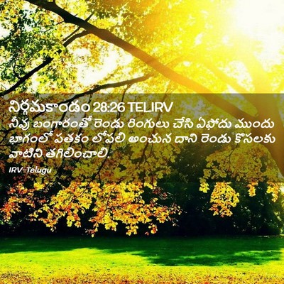 Picture 02 - నిర్గమకాండం 28:26 TELIRV - నీవు బంగారంతో - Bible Verse Picture