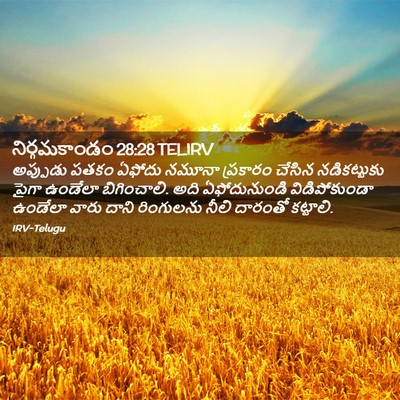Picture 02 - నిర్గమకాండం 28:28 TELIRV - అప్పుడు పతకం - Bible Verse Picture