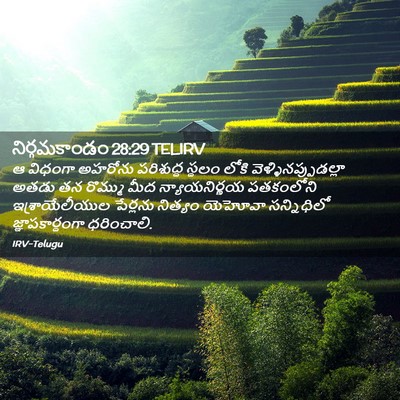 Picture 02 - నిర్గమకాండం 28:29 TELIRV - ఆ విధంగా అహరోను - Bible Verse Picture