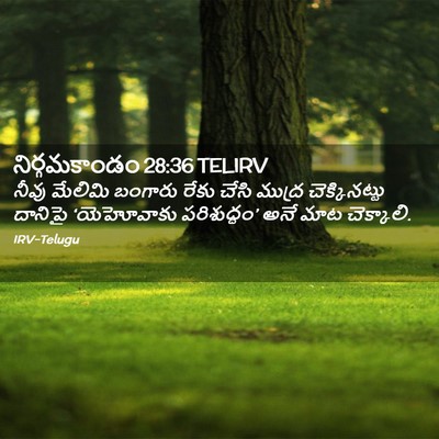 Picture 02 - నిర్గమకాండం 28:36 TELIRV - నీవు మేలిమి - Bible Verse Picture