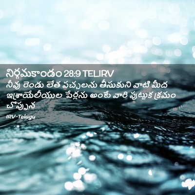 Picture 02 - నిర్గమకాండం 28:9 TELIRV - నీవు రెండు లేత - Bible Verse Picture