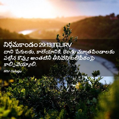 Picture 02 - నిర్గమకాండం 29:13 TELIRV - దాని పేగులకు, - Bible Verse Picture