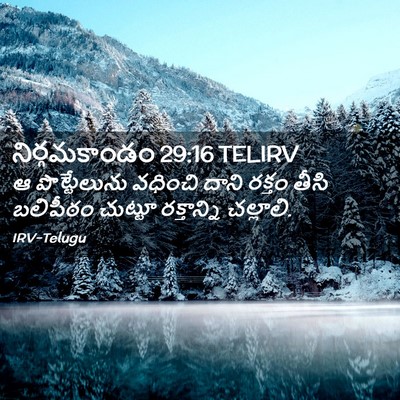 Picture 02 - నిర్గమకాండం 29:16 TELIRV - ఆ పొట్టేలును - Bible Verse Picture