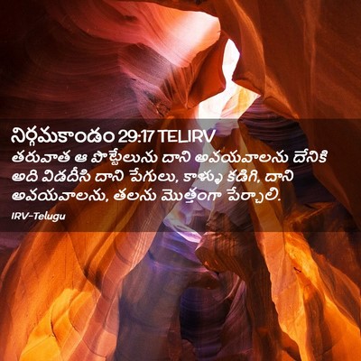 Picture 02 - నిర్గమకాండం 29:17 TELIRV - తరువాత ఆ - Bible Verse Picture