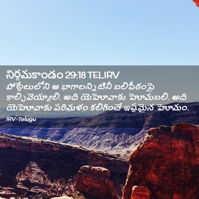 Picture 02 - నిర్గమకాండం 29:18 TELIRV - పోట్టేలులోని ఆ - Bible Verse Picture