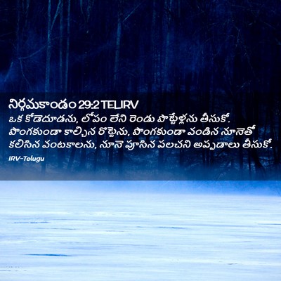Picture 02 - నిర్గమకాండం 29:2 TELIRV - ఒక కోడెదూడను, లోపం - Bible Verse Picture