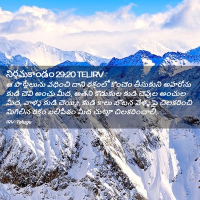 Picture 02 - నిర్గమకాండం 29:20 TELIRV - ఆ పొట్టేలును - Bible Verse Picture
