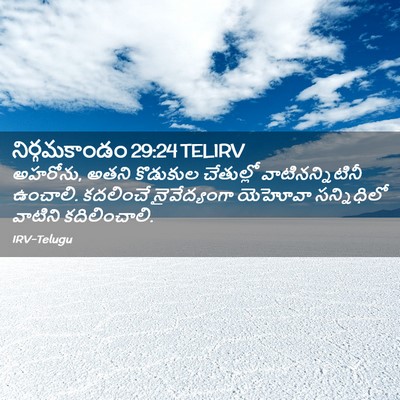 Picture 02 - నిర్గమకాండం 29:24 TELIRV - అహరోను, అతని - Bible Verse Picture