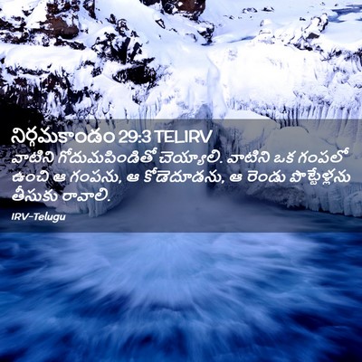 Picture 02 - నిర్గమకాండం 29:3 TELIRV - వాటిని - Bible Verse Picture
