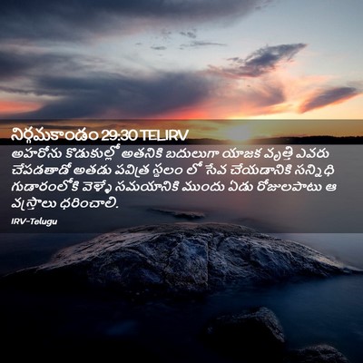 Picture 02 - నిర్గమకాండం 29:30 TELIRV - అహరోను కొడుకుల్లో - Bible Verse Picture
