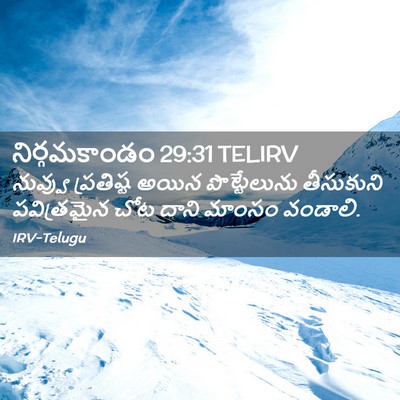 Picture 02 - నిర్గమకాండం 29:31 TELIRV - నువ్వు ప్రతిష్ట - Bible Verse Picture