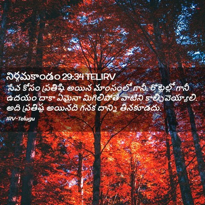 Picture 02 - నిర్గమకాండం 29:34 TELIRV - సేవ కోసం - Bible Verse Picture