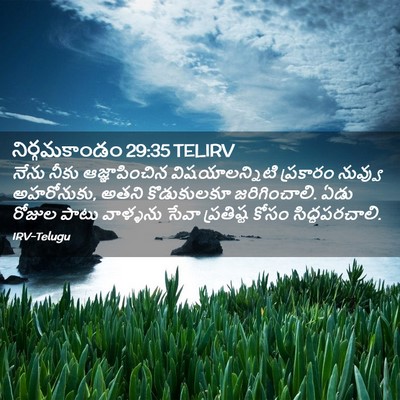 Picture 02 - నిర్గమకాండం 29:35 TELIRV - నేను నీకు - Bible Verse Picture