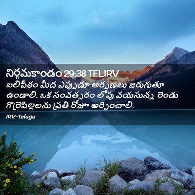Picture 02 - నిర్గమకాండం 29:38 TELIRV - బలిపీఠం మీద - Bible Verse Picture