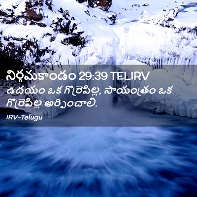 Picture 02 - నిర్గమకాండం 29:39 TELIRV - ఉదయం ఒక - Bible Verse Picture