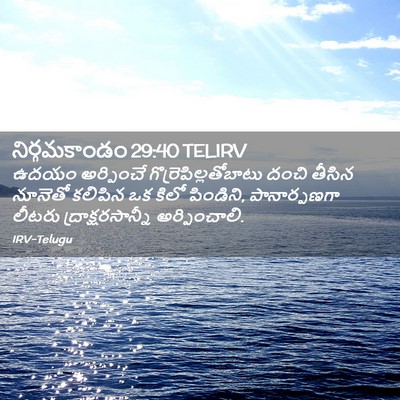 Picture 02 - నిర్గమకాండం 29:40 TELIRV - ఉదయం అర్పించే - Bible Verse Picture