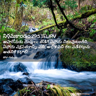 Picture 02 - నిర్గమకాండం 29:5 TELIRV - అహరోనుకు దుస్తులు - Bible Verse Picture