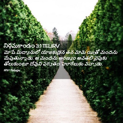 Picture 02 - నిర్గమకాండం 3:1 TELIRV - మోషే మిద్యానులో - Bible Verse Picture
