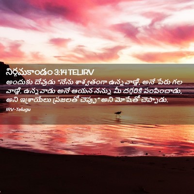 Picture 02 - నిర్గమకాండం 3:14 TELIRV - అందుకు దేవుడు - Bible Verse Picture