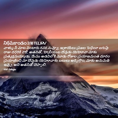 Picture 02 - నిర్గమకాండం 3:18 TELIRV - వాళ్ళు నీ మాట - Bible Verse Picture