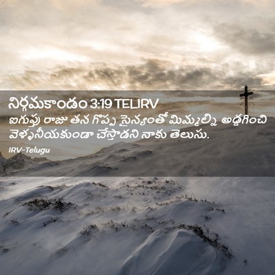 Picture 02 - నిర్గమకాండం 3:19 TELIRV - ఐగుప్తు రాజు తన - Bible Verse Picture