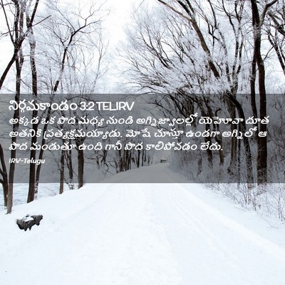 Picture 02 - నిర్గమకాండం 3:2 TELIRV - అక్కడ ఒక పొద మధ్య - Bible Verse Picture