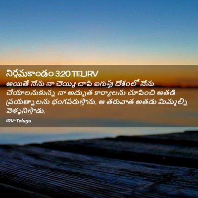 Picture 02 - నిర్గమకాండం 3:20 TELIRV - అయితే నేను నా - Bible Verse Picture