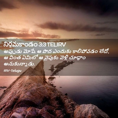Picture 02 - నిర్గమకాండం 3:3 TELIRV - అప్పుడు మోషే ఆ పొద - Bible Verse Picture