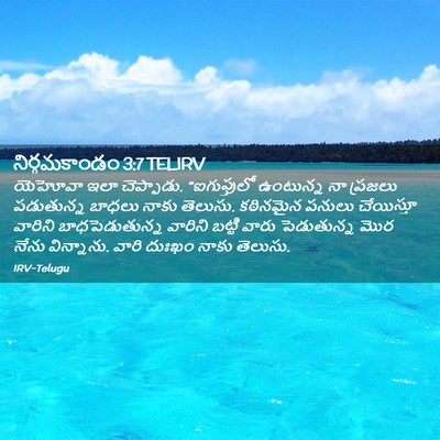 Picture 02 - నిర్గమకాండం 3:7 TELIRV - యెహోవా ఇలా - Bible Verse Picture