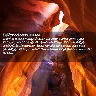Picture 02 - నిర్గమకాండం 30:10 TELIRV - అహరోను ఆ వేదిక - Bible Verse Picture