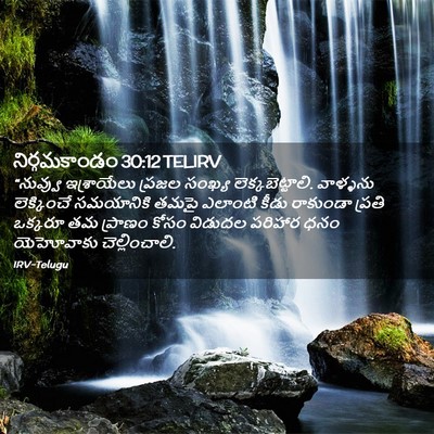 Picture 02 - నిర్గమకాండం 30:12 TELIRV - “నువ్వు ఇశ్రాయేలు - Bible Verse Picture