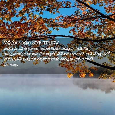 Picture 02 - నిర్గమకాండం 30:14 TELIRV - ఇరవై సంవత్సరాలు, - Bible Verse Picture