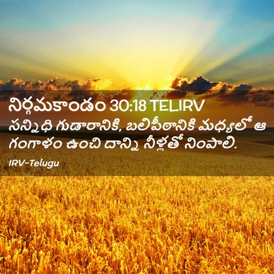Picture 02 - నిర్గమకాండం 30:18 TELIRV - సన్నిధి - Bible Verse Picture
