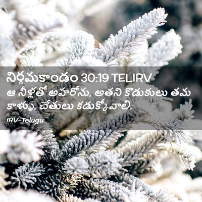 Picture 02 - నిర్గమకాండం 30:19 TELIRV - ఆ నీళ్లతో అహరోను, - Bible Verse Picture