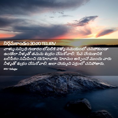 Picture 02 - నిర్గమకాండం 30:20 TELIRV - వాళ్ళు సన్నిధి - Bible Verse Picture